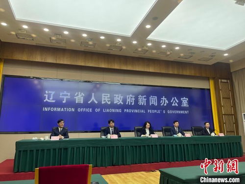 遼寧擘畫縣域經濟新藍圖 2025年綜合實力與發展活力躍升，經濟信息咨詢賦能關鍵路徑